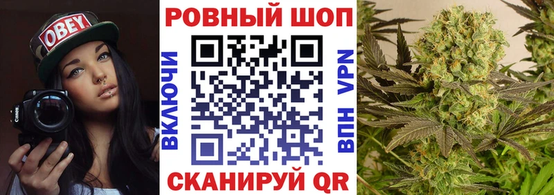 Виды наркотиков купить Грайворон Бутират мега ТОР Псилоцибиновые грибы ГАШ МЕФ КОКАИН МАРИХУАНА