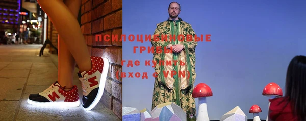 метадон Алексин
