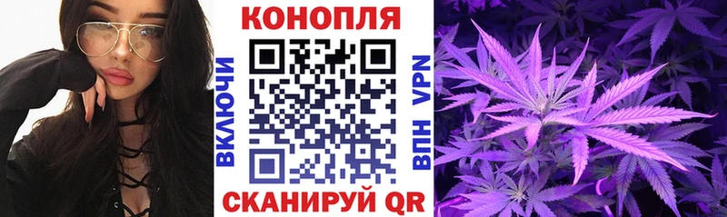 кракен ссылки  Грайворон  Шишки марихуана SATIVA & INDICA 